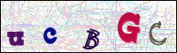 Bestätigung